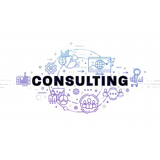 Free Startup and Small Business Consulting