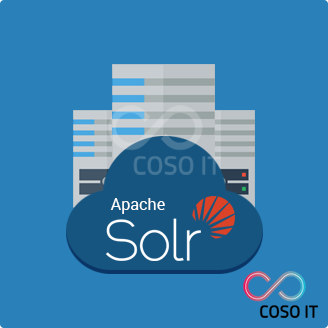 Apache SOLR Developer