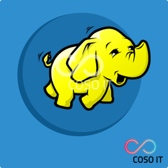 Hadoop Consulting Services  (80 Hrs + Get 80 Hrs Free)