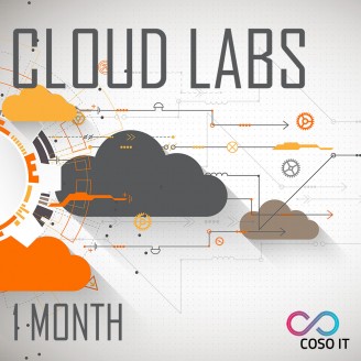 Big Data Labs - 1 Months