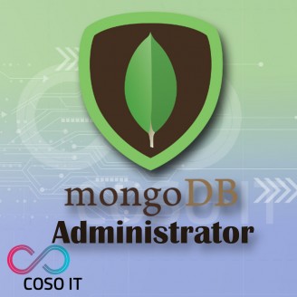 MongoDB Administrator