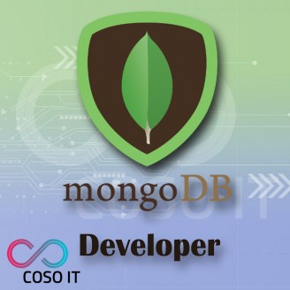 MongoDB Developer