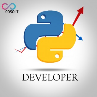 Python Developer