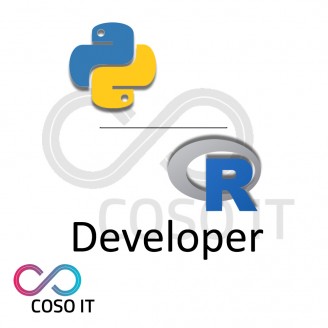 R and Python Developer